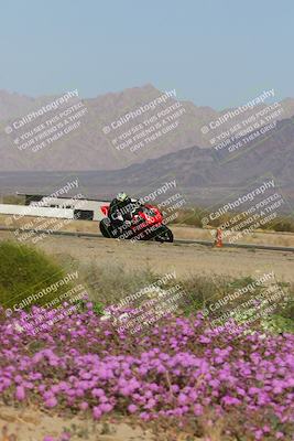 media/Feb-04-2023-SoCal Trackdays (Sat) [[8a776bf2c3]]/Turn 15 Inside Blooming (1050am)/